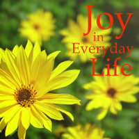 _joy_in_everyday_life
